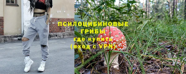 твердый Богданович
