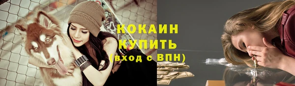 Альфа ПВП Богородск