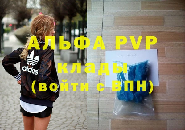 твердый Богданович