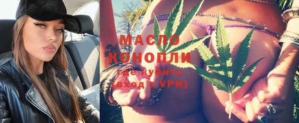 твердый Богданович