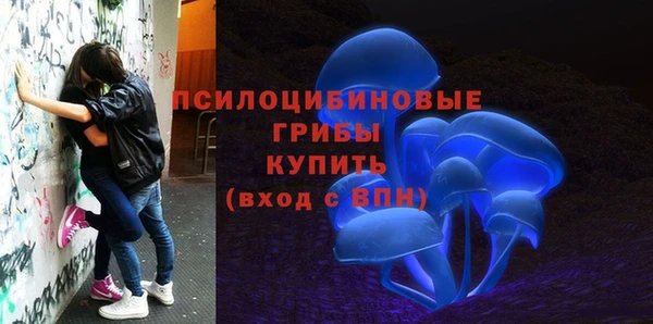 Альфа ПВП Богородск