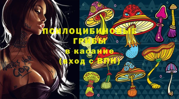 наркотики Богородицк